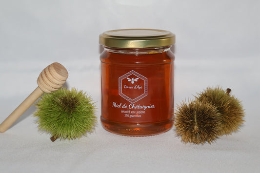 Miel de Châtaignier