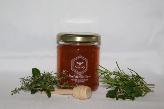 Miel de Garrigue