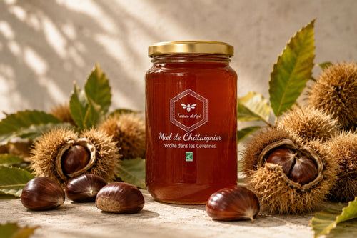 Miel de Châtaignier des Cévennes